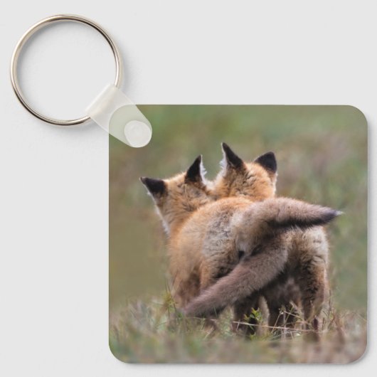 Niedliche Kleintiere | Red Fox Kits Locking Schwan Schlüsselanhänger (Vorderseite)