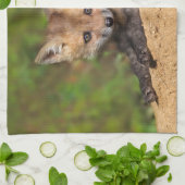 Niedliche Kleintiere | Red Fox Pup Geschirrtuch (Gefaltet)