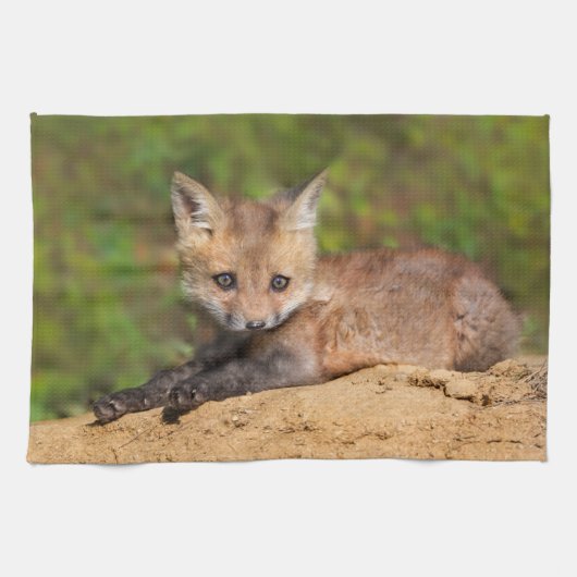 Niedliche Kleintiere | Red Fox Pup Geschirrtuch (Horizontal)