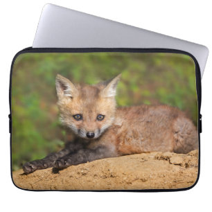 Niedliche Kleintiere Red Fox Pup Laptopschutzhülle