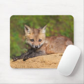 Niedliche Kleintiere | Red Fox Pup Mousepad (Mit Mouse)