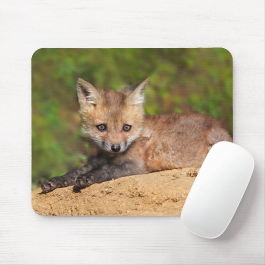Niedliche Kleintiere | Red Fox Pup Mousepad (Mit Mouse)