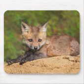 Niedliche Kleintiere | Red Fox Pup Mousepad (Vorne)