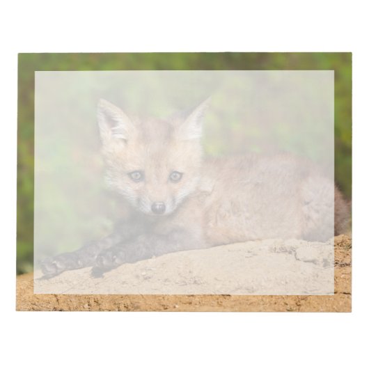 Niedliche Kleintiere | Red Fox Pup Notizblock (Vorderseite)