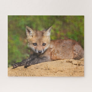 Niedliche Kleintiere Red Fox Pup Puzzle