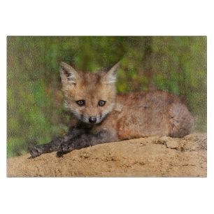 Niedliche Kleintiere Red Fox Pup Schneidebrett