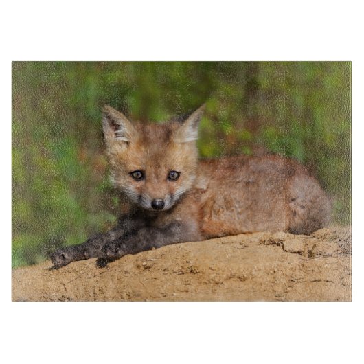 Niedliche Kleintiere | Red Fox Pup Schneidebrett (Vorderseite)