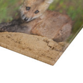 Niedliche Kleintiere | Red Fox Pup Schneidebrett (Ecke)
