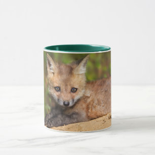 Niedliche Kleintiere   Red Fox Pup Tasse
