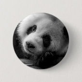 Niedliche Kleintiere | Riesengebirgssäule Button (Vorderseite)