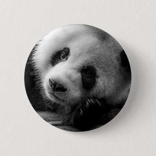 Niedliche Kleintiere | Riesengebirgssäule Button (Vorderseite)