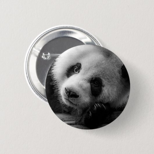 Niedliche Kleintiere | Riesengebirgssäule Button (Vorne & Hinten)