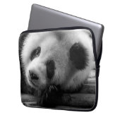 Niedliche Kleintiere | Riesengebirgssäule Laptopschutzhülle (Vorderseite Links)