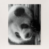 Niedliche Kleintiere | Riesengebirgssäule Puzzle (Vertikal)