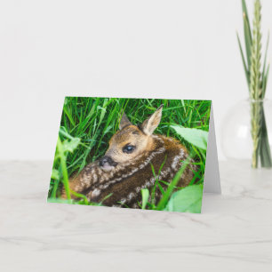 Niedliche Kleintiere Roe Deer Baby Karte