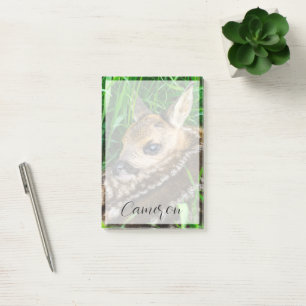 Niedliche Kleintiere Roe Deer Baby Post-it Klebezettel