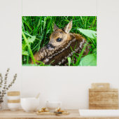 Niedliche Kleintiere | Roe Deer Baby Poster (Küche)