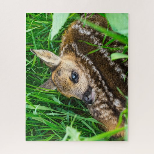 Niedliche Kleintiere | Roe Deer Baby Puzzle (Vertikal)