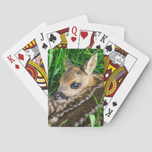 Niedliche Kleintiere Roe Deer Baby Spielkarten