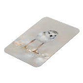 Niedliche Kleintiere | Rohrleitungs-Küken Magnet (Linke Seite)