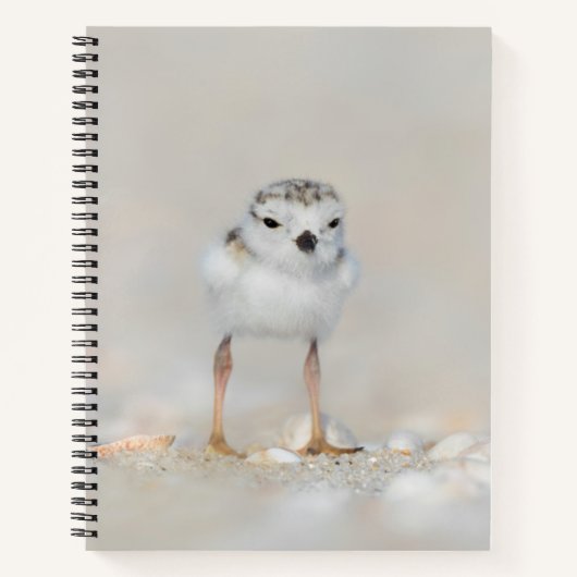 Niedliche Kleintiere | Rohrleitungs-Küken Notizblock (Vorderseite)