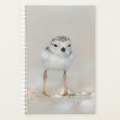 Niedliche Kleintiere | Rohrleitungs-Küken Planer (Vorderseite)