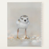 Niedliche Kleintiere | Rohrleitungs-Küken Planer (Rückseite)