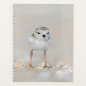 Niedliche Kleintiere | Rohrleitungs-Küken Planer (Vorderseite)