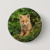 Niedliche Kleintiere | Rotfuchs bei Umnak Alaska Button (Vorderseite)