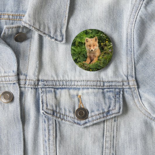 Niedliche Kleintiere | Rotfuchs bei Umnak Alaska Button (Beispiel)