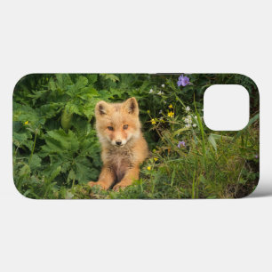 Niedliche Kleintiere   Rotfuchs bei Umnak Alaska Case-Mate iPhone Hülle