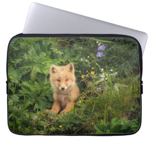 Niedliche Kleintiere Rotfuchs bei Umnak Alaska Laptopschutzhülle