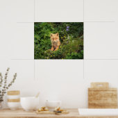 Niedliche Kleintiere | Rotfuchs bei Umnak Alaska Poster (Küche)