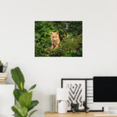 Niedliche Kleintiere | Rotfuchs bei Umnak Alaska Poster (Heimbüro)