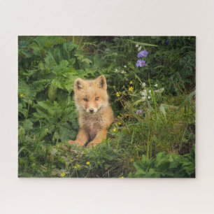 Niedliche Kleintiere Rotfuchs bei Umnak Alaska Puzzle
