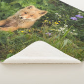 Niedliche Kleintiere | Rotfuchs bei Umnak Alaska Sherpadecke (3/4)