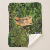 Niedliche Kleintiere | Rotfuchs bei Umnak Alaska Sherpadecke (Vorderseite)