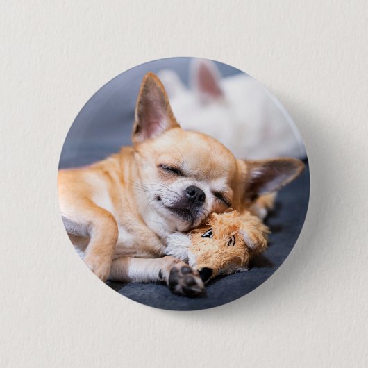 Niedliche Kleintiere | Rothaariger Chihuahua-Hund Button (Vorderseite)