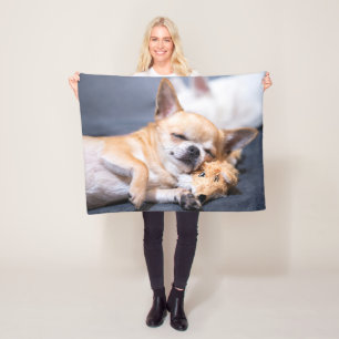 Niedliche Kleintiere Rothaariger Chihuahua-Hund Fleecedecke