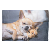 Niedliche Kleintiere | Rothaariger Chihuahua-Hund Kissenbezug (Rückseite)