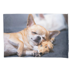 Niedliche Kleintiere   Rothaariger Chihuahua-Hund Kissenbezug