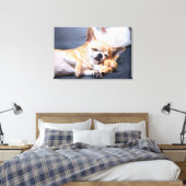 Niedliche Kleintiere | Rothaariger Chihuahua-Hund Leinwanddruck (Insitu (Schlafzimmer))