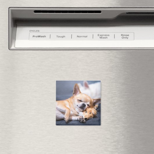 Niedliche Kleintiere | Rothaariger Chihuahua-Hund Magnet (In Situ (Geschirrspüler))