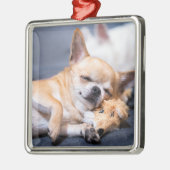 Niedliche Kleintiere | Rothaariger Chihuahua-Hund Ornament Aus Metall (Links)