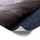 Niedliche Kleintiere | Rothaariger Chihuahua-Hund Poster (Ecke)