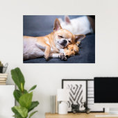 Niedliche Kleintiere | Rothaariger Chihuahua-Hund Poster (Heimbüro)