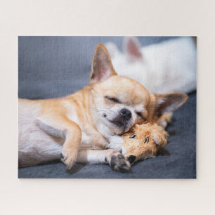 Niedliche Kleintiere Rothaariger Chihuahua-Hund Puzzle