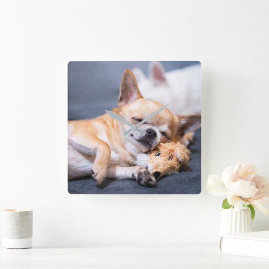 Niedliche Kleintiere | Rothaariger Chihuahua-Hund Quadratische Wanduhr (Zuhause)