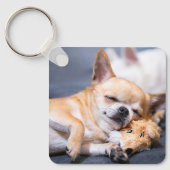 Niedliche Kleintiere | Rothaariger Chihuahua-Hund Schlüsselanhänger (Vorderseite)