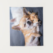 Niedliche Kleintiere | Rothaariger Chihuahua-Hund Wandteppich (Vorderseite)